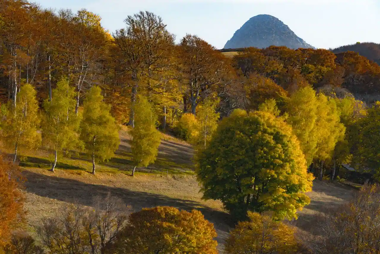 Paysage d'automne aux arbres dorés dominé par un sommet volcanique, en Auvergne