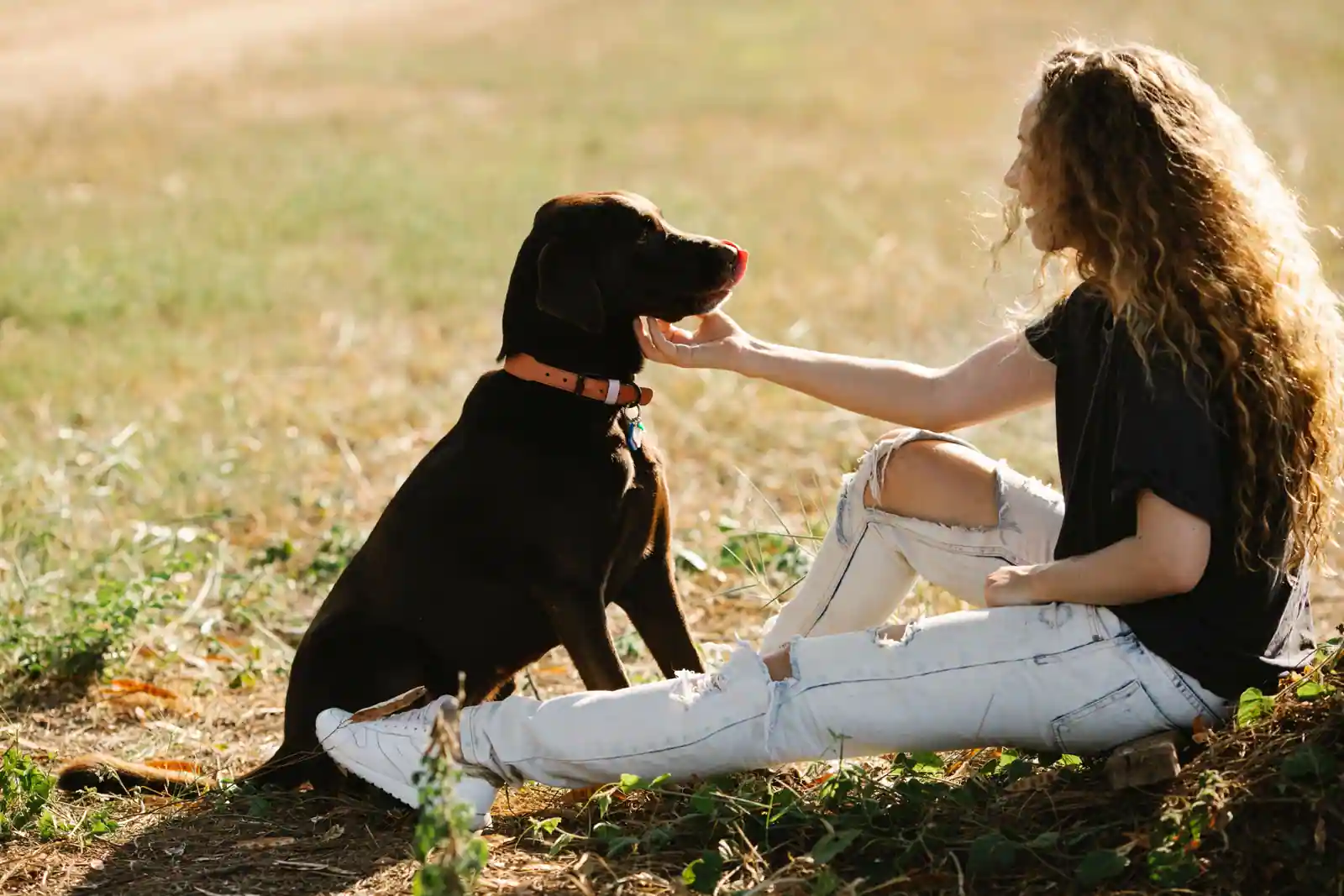 Femme assise dans l'herbe face à son chien, lui caressant doucement le museau dans un moment calme