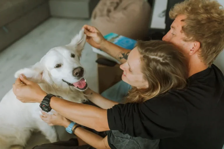 Communication animale : pratique, science et langage animal