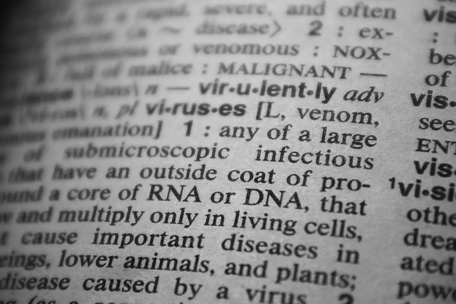 Gros plan sur les pages ouvertes d'un dictionnaire imprimé montrant la définition de mots