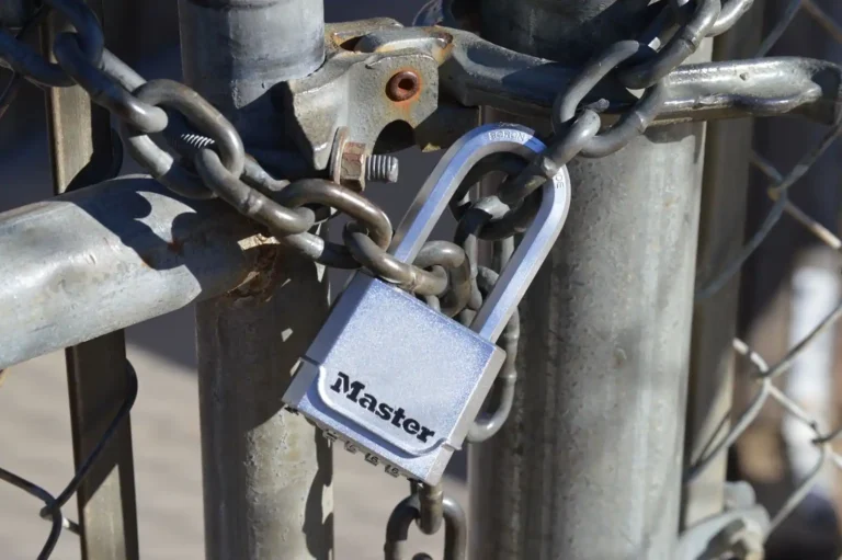 Gestionnaire de mot de passe : pourquoi et comment l&rsquo;adopter