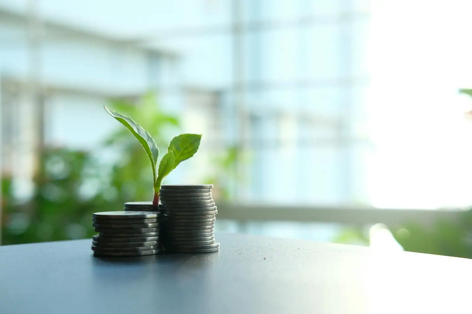 Une jeune pousse verte grandissant dans des pièces de monnaie, image de la finance durable