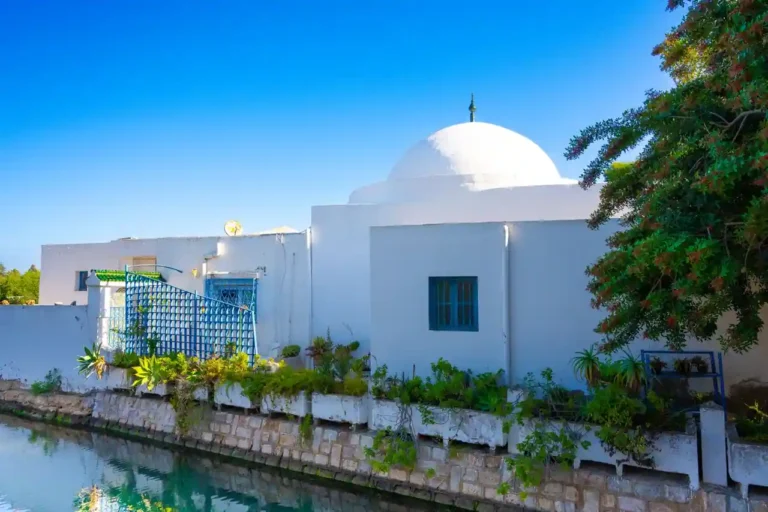 Business news Tunisie : comprendre et suivre l&rsquo;actualité économique