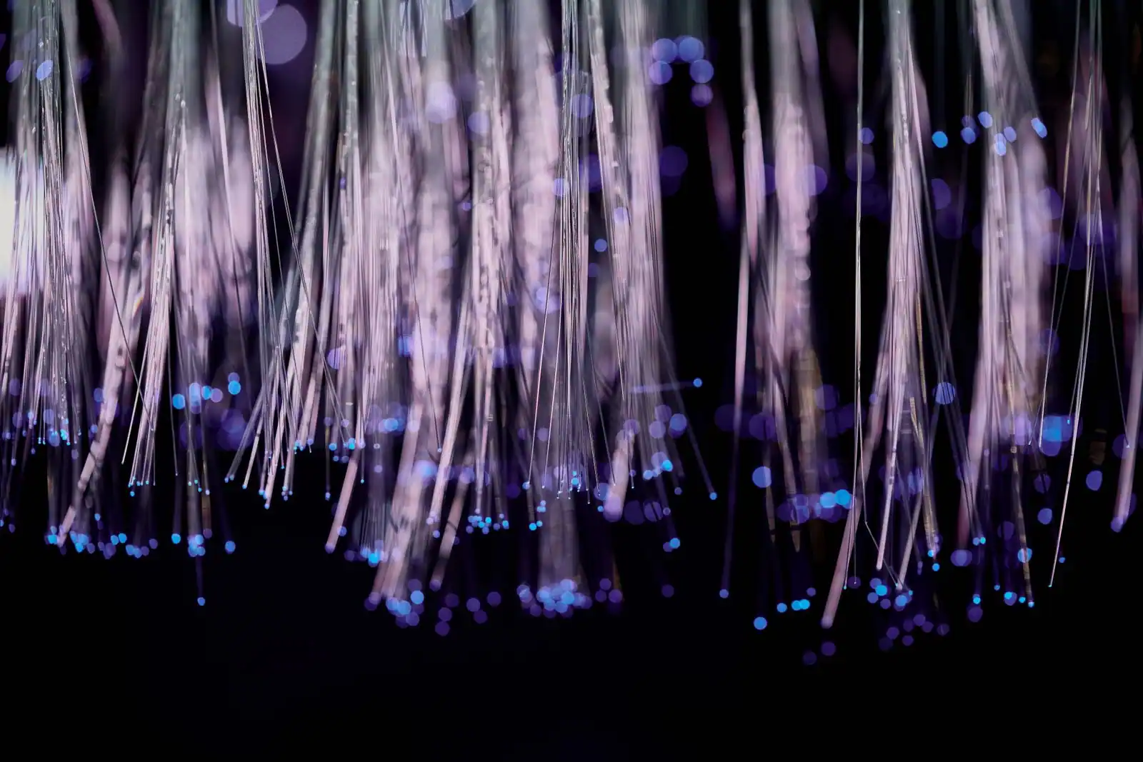 Faisceau de fibres optiques illuminées, support physique des transmissions de photons du réseau